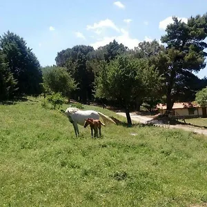 Bosco Pianetti Alloggio per agriturismo Santuario di Gibilmanna